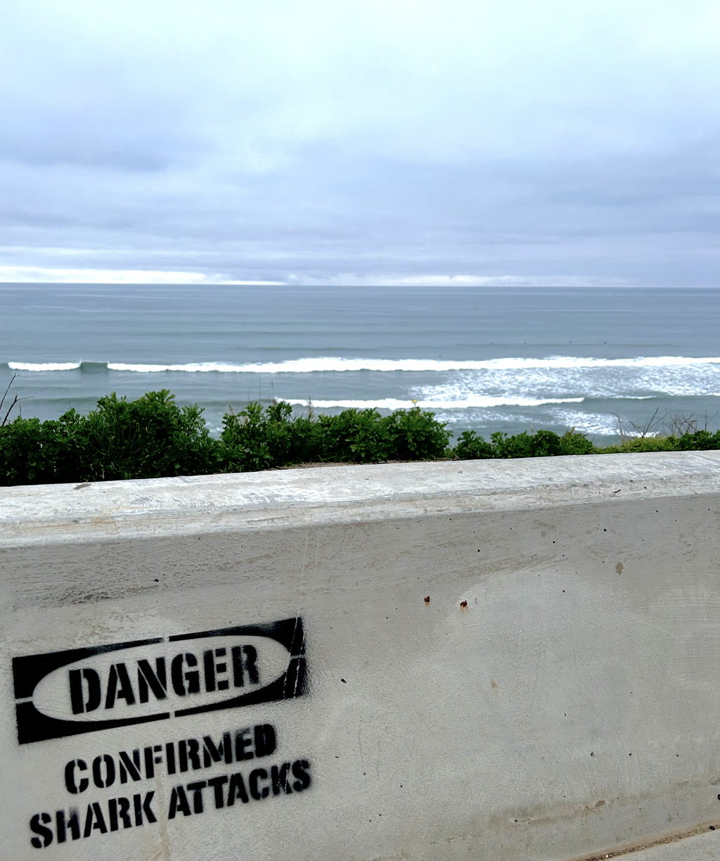 The scene consists of an overcast sky above a rough sea with visible waves breaking and reaching the shore. In the foreground, there is a low concrete barrier facing the sea, with a black stencil text warning embossed on its surface. Surrounding the area are some shrubs and plants adding a touch of greenery to the otherwise gray setting.
